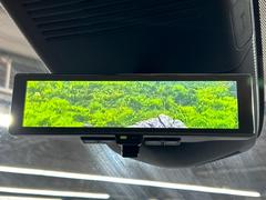 �ڥ���ƥꥸ����ȥ롼��ߥ顼�۸��ʤ��礭�ʲ�ʪ��Ʊ��ԤǸ�������ǧ���Ť餤���Ǥ�¿�������餬���Ƥ�����ξ�����α�����롼��ߥ顼���ɽ�������ꥢ�ʻ볦�Ǿ����γ�ǧ����ǽ�Ǥ��� 6