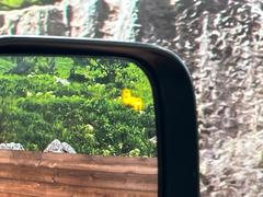 ڥ֥饤ɥݥåȥ˥󥰡桢ɥߥ顼λѤˤʤ䤹ս˸³֤᤹ܶȥɥߥ顼ն˷ٹɽɥ饤Сմ򤷤Ƥޤ 7