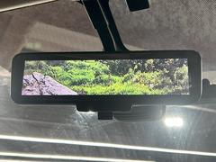 �ڥ���ƥꥸ����ȥ롼��ߥ顼�۸��ʤ��礭�ʲ�ʪ��Ʊ��ԤǸ�������ǧ���Ť餤���Ǥ�¿�������餬���Ƥ�����ξ�����α�����롼��ߥ顼���ɽ�������ꥢ�ʻ볦�Ǿ����γ�ǧ����ǽ�Ǥ��� 7