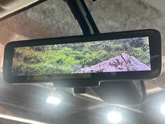 �ڥ���ƥꥸ����ȥ롼��ߥ顼�۸��ʤ��礭�ʲ�ʪ��Ʊ��ԤǸ�������ǧ���Ť餤���Ǥ�¿�������餬���Ƥ�����ξ�����α�����롼��ߥ顼���ɽ�������ꥢ�ʻ볦�Ǿ����γ�ǧ����ǽ�Ǥ��� 5