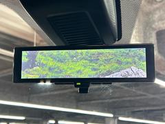 �ڥ���ƥꥸ����ȥ롼��ߥ顼�۸��ʤ��礭�ʲ�ʪ��Ʊ��ԤǸ�������ǧ���Ť餤���Ǥ�¿�������餬���Ƥ�����ξ�����α�����롼��ߥ顼���ɽ�������ꥢ�ʻ볦�Ǿ����γ�ǧ����ǽ�Ǥ��� 7