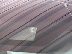 �ڥȥ西�����եƥ����󥹡�������������μ�ξ����ǧ���������ͤ������ʻ��Ϸ���ȥ֥졼���Ǿ��Ͳ�����ﳲ�ڸ��򥢥����ȡ��������˥ɥ饤�֤򤪳ڤ��ߤ��������ޤ��� 6