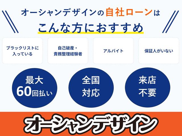 プレミアムブラックリミテッド　Ｒ７年１１月　キーレス　社外ナビ　地デジ（走行中不可）　バックカメラ　社外１５アルミ　ＥＴＣ　スーパーチャージャー　レザー調シートカバー(44枚目)