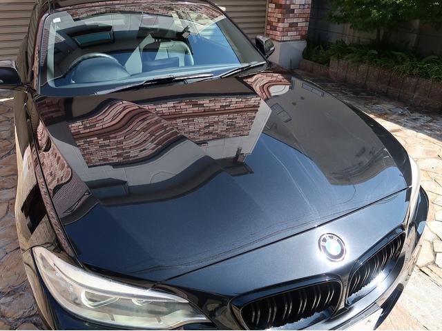 ２シリーズ Ｍ２３５ｉクーペ　６速マニュアル／ＢＢＳ　ＲＩ－Ａ１８インチ／ビルシュタイン／レムスマフラー／Ｍパフォーマンスカーボンパネル／ブラックレザー／ダウンパイプ／ＦＴＰチャージパイプ／純正ナビ／バックカメラＥＴＣ／点検記録簿（14枚目）