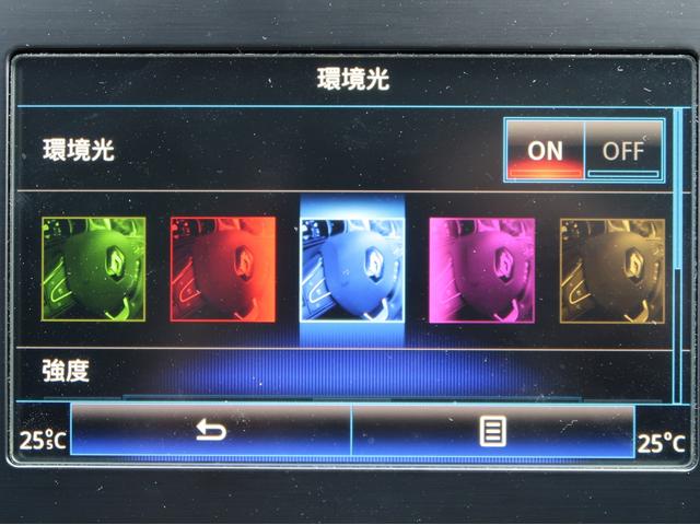 メガーヌ GT 205PSターボ/アドバンレーシング18インチアルミ/Apple Car Play/バックカメラ/LEDヘッドライト/クルーズコントロール/BSM/4CONTOL/前後センサー/ETC(26枚目)