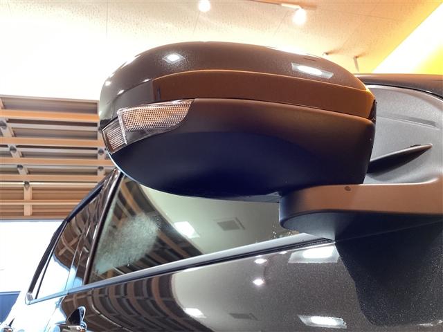 ライズ Ｘ　バックカメラ　クリアランスソナー　衝突被害軽減システム　ＴＶ　ＬＥＤヘッドランプ　スマートキー　アイドリングストップ　電動格納ミラー　ＣＶＴ　盗難防止システム　衝突安全ボディ　ＵＳＢ（30枚目）