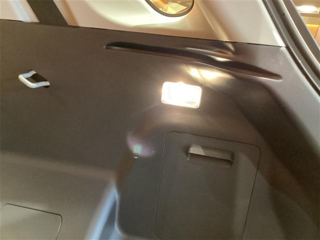 ライズ Ｘ　バックカメラ　クリアランスソナー　衝突被害軽減システム　ＴＶ　ＬＥＤヘッドランプ　スマートキー　アイドリングストップ　電動格納ミラー　ＣＶＴ　盗難防止システム　衝突安全ボディ　ＵＳＢ（42枚目）