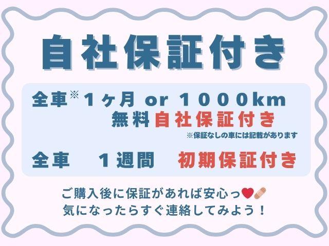 ミライース X メモリアルエディション エコアイドル 14アルミ SDナビ フルセグTV ETC キーレス(17枚目)