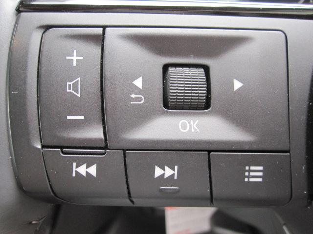 セレナ e-パワー ハイウェイスターV 防水シート 12.3インチナビ アラウンドビュー プロパイロット(17枚目)