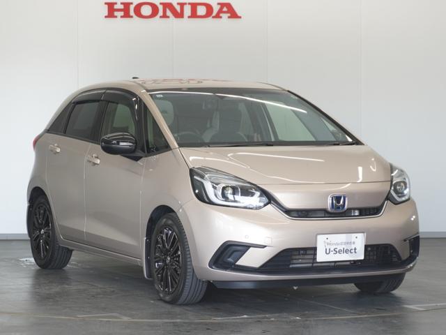 フィット ｅ：ＨＥＶホーム２０周年特別仕様車メゾン　１年保証　ナビ　ドライブレコーダー　バックカメラ　ＥＴＣ　クルーズコントロール　Ｂｌｕｅｔｏｏｔｈ　地デジ　スタートストップスイッチ（17枚目）