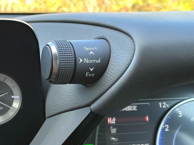 ＥＳ ＥＳ３００ｈ　バージョンＬ　後期型　禁煙　サンルーフ　マークレビンソンプレミアムサラウンドサウンドシステム　本革シート　パノラミックビューモニター　本革シート　１２．３型ナビ　３眼フルＬＥＤ　デジタルインナーミラー　ユーザー買取（36枚目）