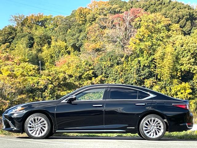 ＥＳ ＥＳ３００ｈ　バージョンＬ　後期型　禁煙　サンルーフ　マークレビンソンプレミアムサラウンドサウンドシステム　本革シート　パノラミックビューモニター　本革シート　１２．３型ナビ　３眼フルＬＥＤ　デジタルインナーミラー　ユーザー買取（40枚目）