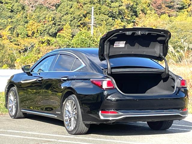 ＥＳ ＥＳ３００ｈ　バージョンＬ　後期型　禁煙　サンルーフ　マークレビンソンプレミアムサラウンドサウンドシステム　本革シート　パノラミックビューモニター　本革シート　１２．３型ナビ　３眼フルＬＥＤ　デジタルインナーミラー　ユーザー買取（42枚目）