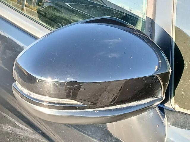 フィット ＲＳ　禁煙車　純正インターナビ　フルセグＴＶ　バックカメラ　ドラレコ　ＥＴＣ　Ｂｌｕｅｔｏｏｔｈ　クルーズコントロール　パドルシフト　ＬＥＤヘッドライト　スマートキー　ＵＳＢ／ＨＤＭＩ接続可　点検整備付（42枚目）