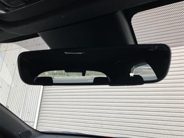 �h�����R�t���C���i�[�~���[