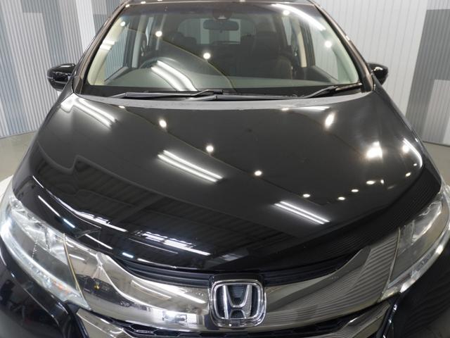 �S���[�Ԃ����X�ɂ��C���������I�k�͖k�C�������͉���܂ł��[�ԏo���܂��I���₢�������҂����Ă���܂��I