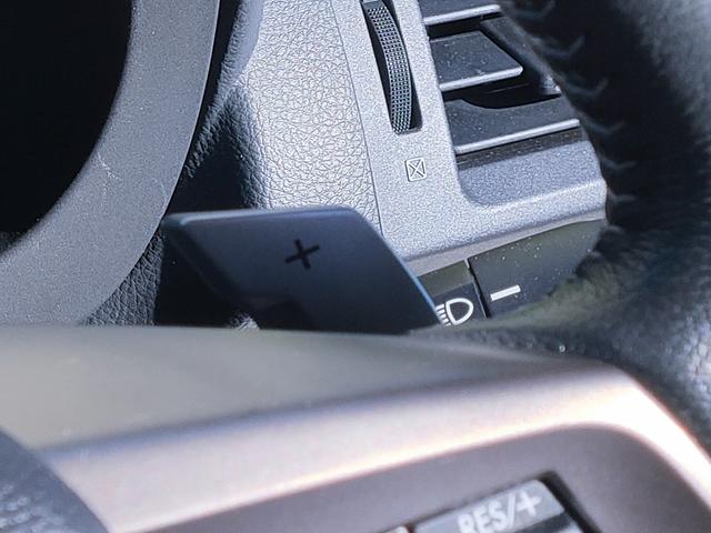 フォレスター 2.0XT アイサイト アイサイト/4WD/ターボ/パワーバックドア/ルーフボックス/ETC/ナビ/フルセグ/Bluetooth/DVD再生/シートヒーター/パワーシート/プッシュスタート/HID/純正18インチアルミ(25枚目)