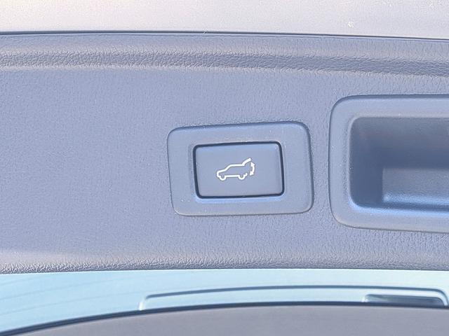 フォレスター 2.0XT アイサイト アイサイト/4WD/ターボ/パワーバックドア/ルーフボックス/ETC/ナビ/フルセグ/Bluetooth/DVD再生/シートヒーター/パワーシート/プッシュスタート/HID/純正18インチアルミ(53枚目)