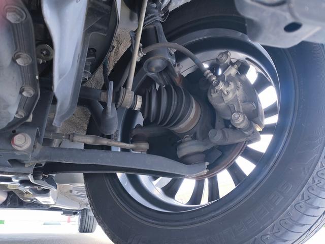 �t�����g������̉����̂��ʐ^�ł��I