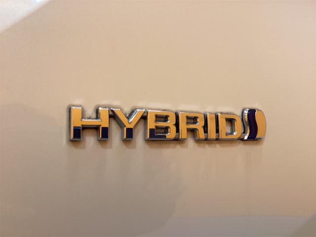 プリウス Ｓツーリングセレクション　ＥＴＣ　バックカメラ　ナビ　ＴＶ　オートクルーズコントロール　レーンアシスト　アルミホイール　オートマチックハイビーム　オートライト　ＬＥＤヘッドランプ　スマートキー（28枚目）