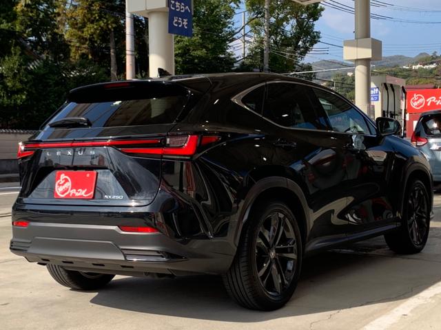 NX NX250 バージョンL 純正ナビ セーフティーシステム 全方位モニター ETC フルセグTV レザーシート 3眼フルLEDヘッドライト LEDフォグ パワーバックドア 純正20インチアルミホイール スマートキー×2(3枚目)