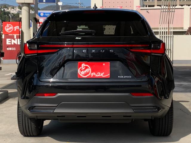 NX NX250 バージョンL 純正ナビ セーフティーシステム 全方位モニター ETC フルセグTV レザーシート 3眼フルLEDヘッドライト LEDフォグ パワーバックドア 純正20インチアルミホイール スマートキー×2(7枚目)