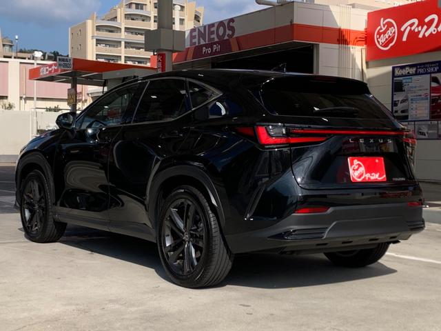 NX NX250 バージョンL 純正ナビ セーフティーシステム 全方位モニター ETC フルセグTV レザーシート 3眼フルLEDヘッドライト LEDフォグ パワーバックドア 純正20インチアルミホイール スマートキー×2(8枚目)