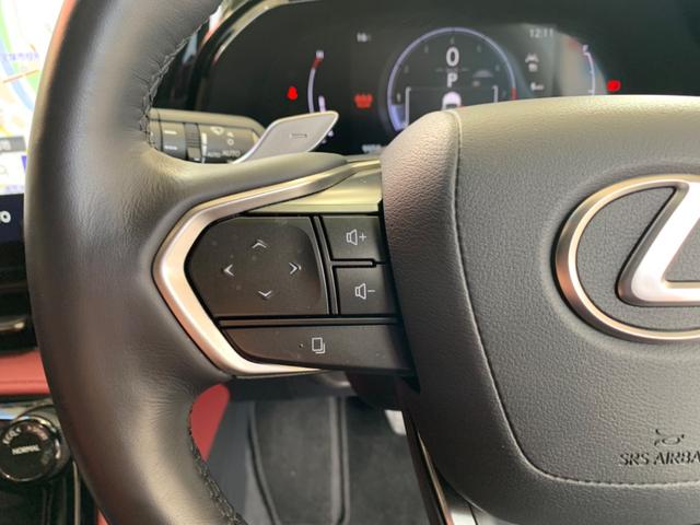 NX NX250 バージョンL 純正ナビ セーフティーシステム 全方位モニター ETC フルセグTV レザーシート 3眼フルLEDヘッドライト LEDフォグ パワーバックドア 純正20インチアルミホイール スマートキー×2(12枚目)