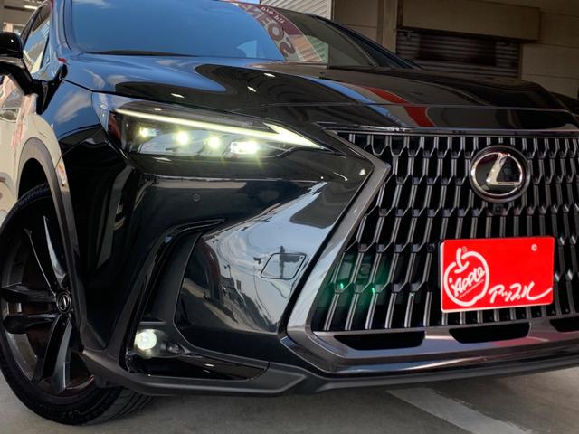 NX NX250 バージョンL 純正ナビ セーフティーシステム 全方位モニター ETC フルセグTV レザーシート 3眼フルLEDヘッドライト LEDフォグ パワーバックドア 純正20インチアルミホイール スマートキー×2(26枚目)