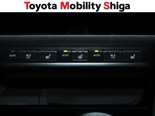 ＵＸ ＵＸ２５０ｈ　Ｆスポーツ　革シート　４ＷＤ　フルセグ　メモリーナビ　ＤＶＤ再生　ミュージックプレイヤー接続可　バックカメラ　衝突被害軽減システム　ＥＴＣ　ＬＥＤヘッドランプ　ワンオーナー（29枚目）