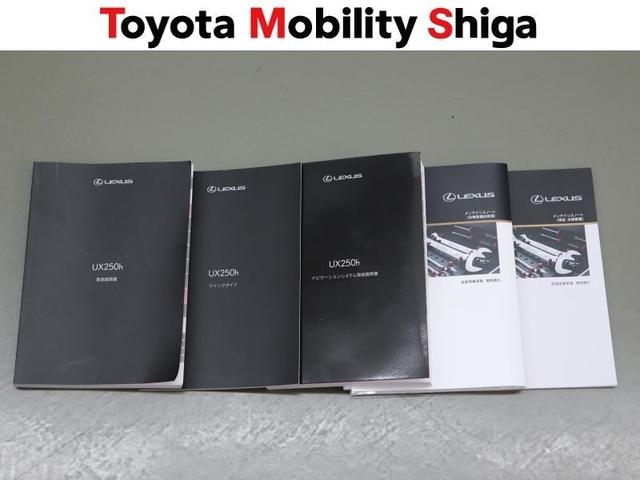 ＵＸ ＵＸ２５０ｈ　Ｆスポーツ　革シート　４ＷＤ　フルセグ　メモリーナビ　ＤＶＤ再生　ミュージックプレイヤー接続可　バックカメラ　衝突被害軽減システム　ＥＴＣ　ＬＥＤヘッドランプ　ワンオーナー（33枚目）