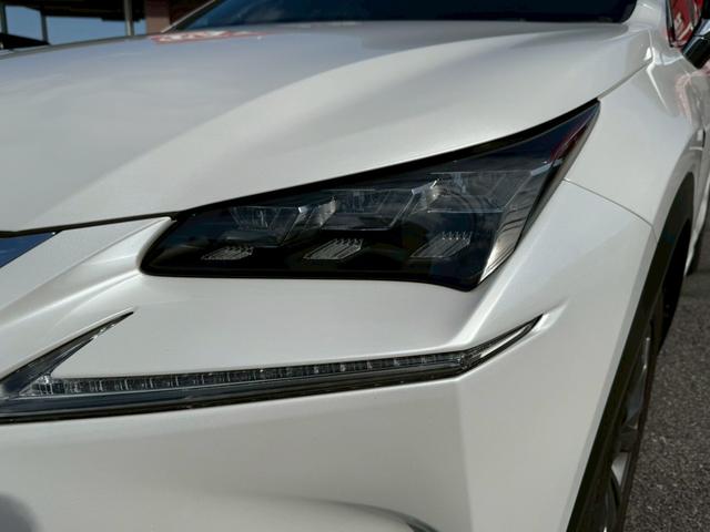 ＮＸ ＮＸ２００ｔ　Ｆスポーツ　ムーンルーフ　三眼ＬＥＤヘッドライト　純正ナビ　バックカメラ　クルーズコントロール　ドライブレコーダー　ハンドルヒーター　エアロ　メモリー付きパワーシート　レーダーシートベンチレーション　セキュリティ（30枚目）