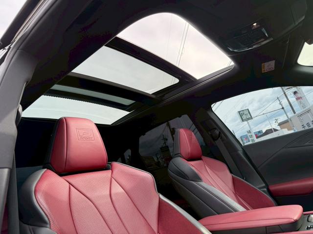 ＲＸ ＲＸ３５０　Ｆスポーツ　パノラマルーフ　オレンジキャリパー　純正ナビ　フルセグＴＶ　バックカメラ　全方位モニター　ＨＤＭＩ端子　クルーズコントロール　ドライブレコーダー　ＥＴＣ　ブラックルーフレール　ヘッドアップディスプレイ（22枚目）