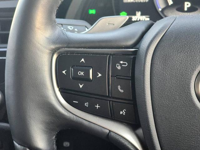 ＥＳ ＥＳ３００ｈ　バージョンＬ　純正ナビ・フルセグ・デジタルインナーミラー・ＥＴＣ・シートヒーター・ベンチレーション・ステアリングヒーター・パワーバックドア・ＢＳＭ・パノラミックビューモニター・リアスポイラー（18枚目）