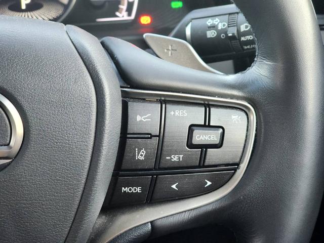 ＥＳ ＥＳ３００ｈ　バージョンＬ　純正ナビ・フルセグ・デジタルインナーミラー・ＥＴＣ・シートヒーター・ベンチレーション・ステアリングヒーター・パワーバックドア・ＢＳＭ・パノラミックビューモニター・リアスポイラー（19枚目）