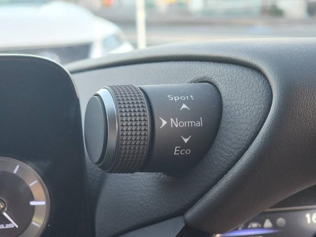 ＥＳ ＥＳ３００ｈ　バージョンＬ　純正ナビ・フルセグ・デジタルインナーミラー・ＥＴＣ・シートヒーター・ベンチレーション・ステアリングヒーター・パワーバックドア・ＢＳＭ・パノラミックビューモニター・リアスポイラー（23枚目）