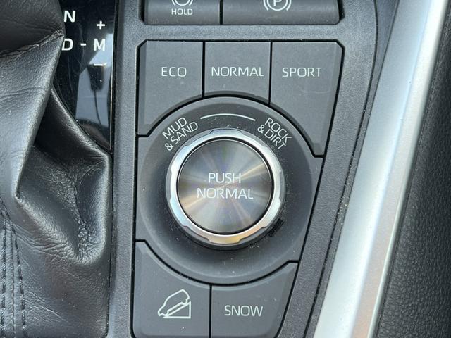 ＲＡＶ４ アドベンチャー　オフロードパッケージ　ＴＲＤ（Ｆ・Ｒ）・バックカメラ・ブラインドスポットモニタ・デジタルインナーミラー・純正ディスプレイオーディオ・ハンドルヒーター・シートベンチレーション・ステアリングリモコン・１００Ｖコンセント・ＥＴＣ（17枚目）