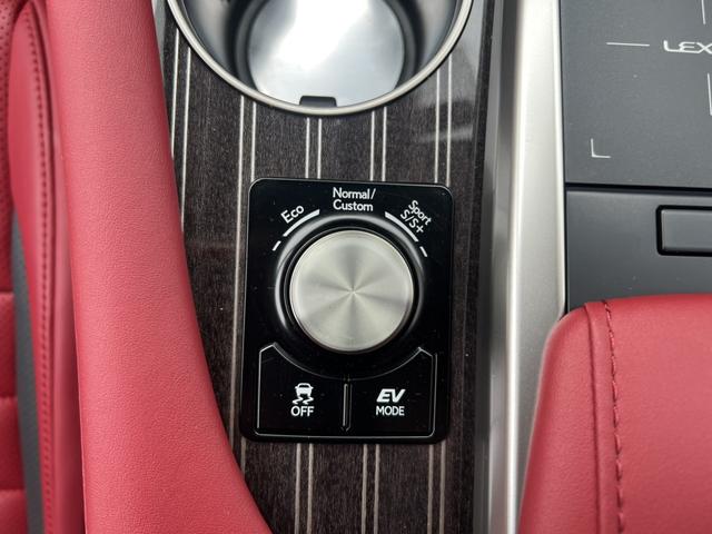 ＲＸ ＲＸ４５０ｈ　Ｆスポーツ　ワンオーナー・ＴＲＤフルエアロ・純ナビ・アラウンドビューモニター・ムーンルーフ・オーディソンオーディオ・前後シートヒーター・アクセサリーコンセント・パワーバックドア・ＥＴＣ・ＨＵＤ・ＢＳＭ・純ホイル有（19枚目）