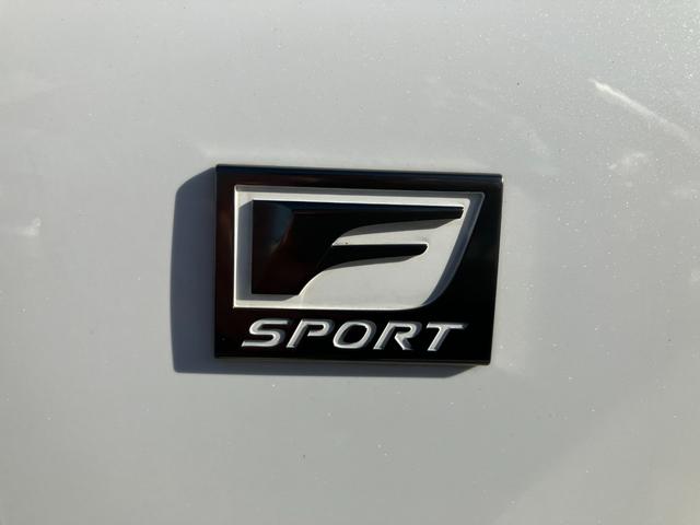 ＮＸ ＮＸ３００ｈ　クール＆ブライト　ブラインドスポット／２．０ＥＴＣ／Ｂｌｕｅｔｏｏｔｈ／ドライブレコーダー（38枚目）