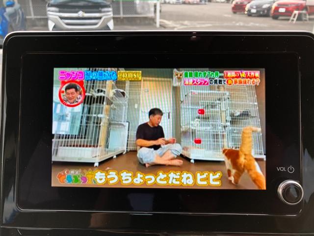 シエンタ ハイブリッドＧ　純正ディスプレイオーディオ／フルセグＴＶ／両側パワスラ／バックカメラ／ドライブレコーダー／ビルトインＥＴＣ／ＡＣ１００Ｖ電源／１５００Ｗコンセント／アダプティブクルーズ（6枚目）