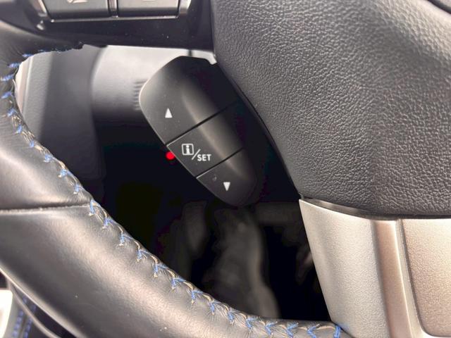 レヴォーグ １．６ＧＴアイサイト　プラウドエディション　４ＷＤ　メモリーナビ　リアカメラ　フルセグ　スマートキー　ＬＥＤヘッドライト　衝突軽減ブレーキ　ドラレコ　クルコン　Ｂｌｕｅｔｏｏｔｈ　ＵＳＢ　純正１７インチアルミ　ＥＴＣ（29枚目）