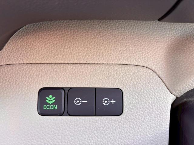 N-BOX G・EXホンダセンシング SDナビ フルセグTV リアカメラ スマートキー LEDヘッドライト 衝突軽減ブレーキ 片側パワスラ 前後ドラレコ Bluetooth クルコン 純正14インチ鉄 ETC(36枚目)