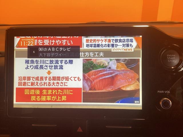 ノア Ｓ－Ｇ　ディスプレイオーディオ　バックカメラ　ナビ　ＴＶ　オートクルーズコントロール　レーンアシスト　衝突被害軽減システム　両側スライド・片側電動　オートマチックハイビーム　ＬＥＤヘッドランプ　スマートキー（9枚目）