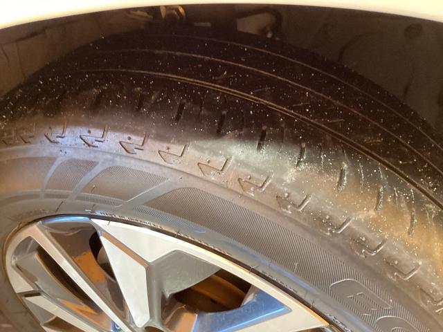 セレナ ハイウェイスターV バックカメラ ナビ TV クリアランスソナー オートクルーズコントロール レーンアシスト 衝突被害軽減システム 両側電動スライドドア LEDヘッドランプ スマートキー アイドリングストップ(24枚目)