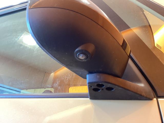 タント ファンクロスターボ　衝突軽減Ｂ　パノラマモニター　両側自動ドア　電子パーキング　ＬＥＤヘッドライト　フォグライト　スマートキー　プッシュスタート　アイドリングストップ　ステアリングスイッチ　純正アルミホイール（33枚目）