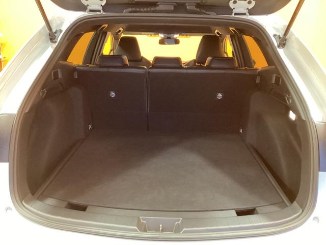 カローラツーリング ハイブリッド　ダブルバイビー　トヨタセーフティセンス　純正ディスプレイ　Ｂｌｕｅｔｏｏｔｈ対応　ＴＶ　Ｂカメラ　ＥＴＣ２．０　アダプティブクルーズコントロール　電子パーキング　ＬＥＤヘッドライト　フォグライト　スマートキー（21枚目）