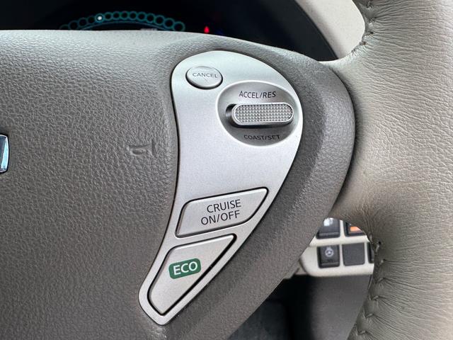 NISSAN LEAF X(30KWH)