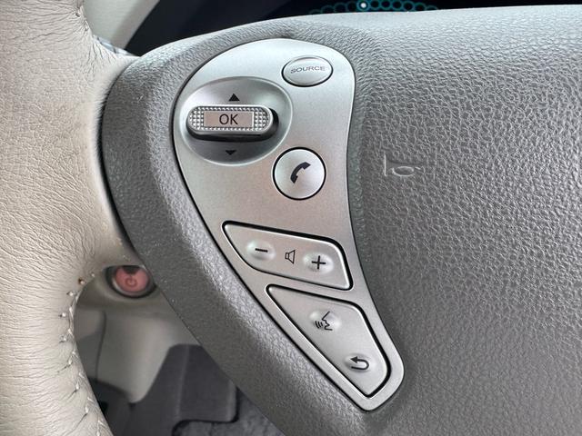 NISSAN LEAF X(30KWH)