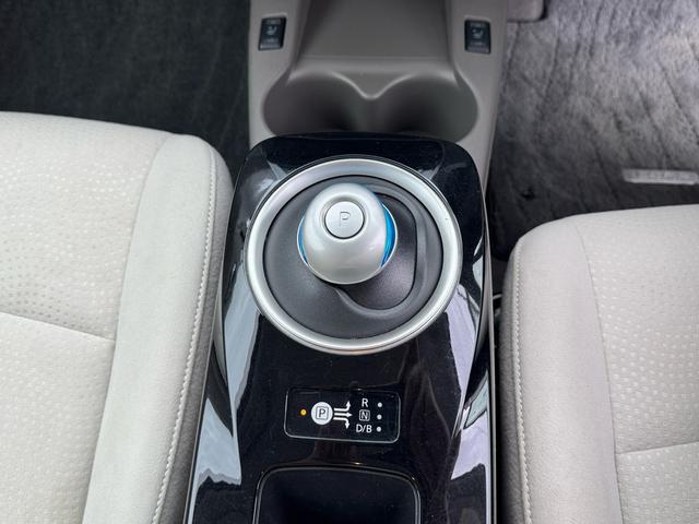 NISSAN LEAF X(30KWH)