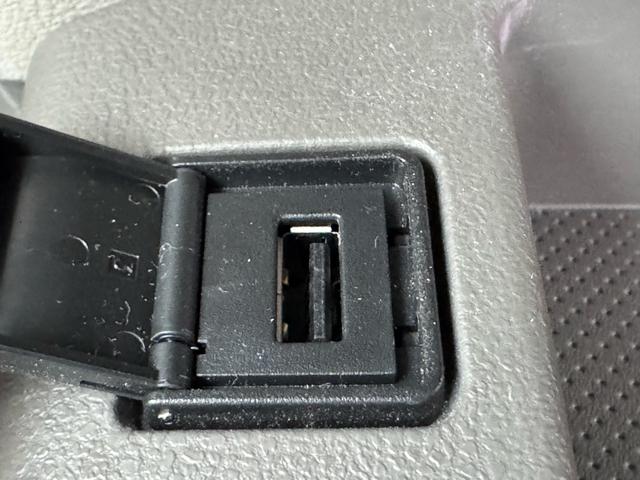 NISSAN LEAF X(30KWH)